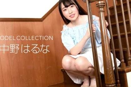 モデルコレクション 中野はるな